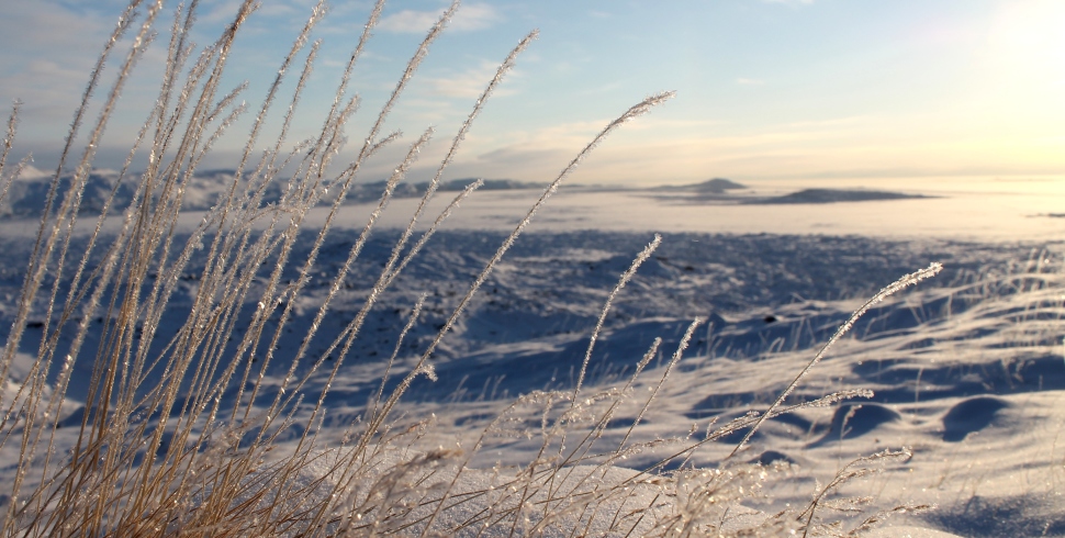 What to Pack When Moving to Iqaluit