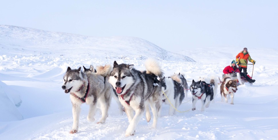 Way of the North: Circumnavigating Baffin Island by Dogsled